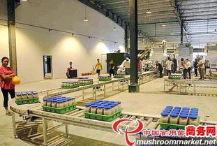 河北光明食品集團臨西縣食用菌工廠化建設項目圓滿竣工，助力現代農業發展